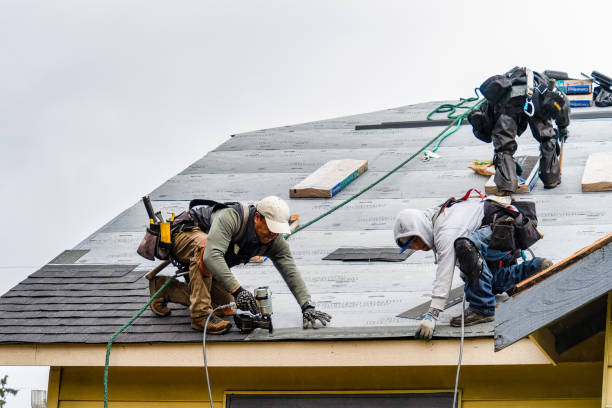 Professional Roof Inspection technician working in Stanford, IL